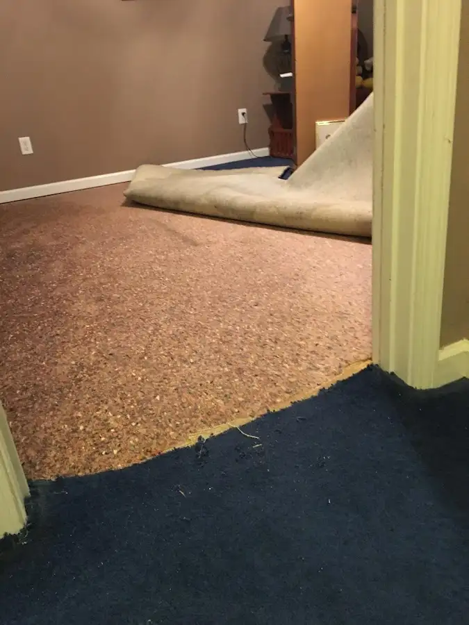 Carpet pad removal revealing water damage during Water Mitigation Services in Lomita