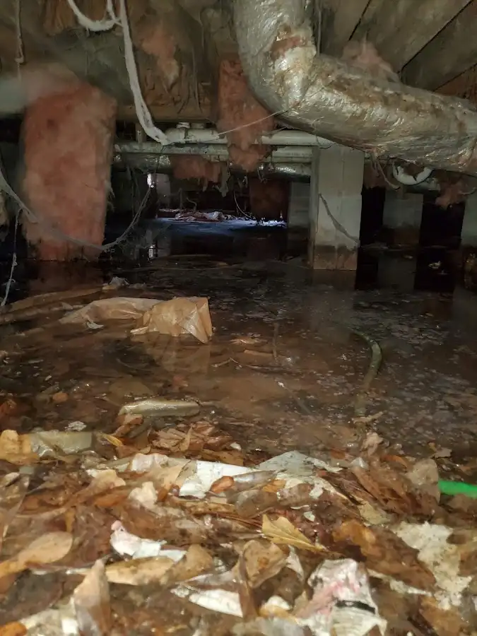Crawl space flood assessment for Leak Detection & Repair in Lomita