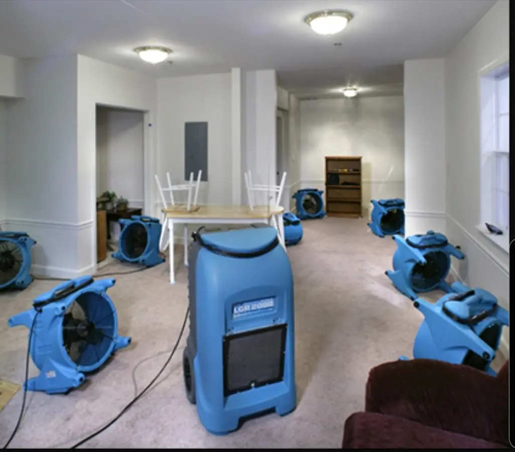 Air movers and dehumidifier setup for Water Extraction & Removal in Lomita