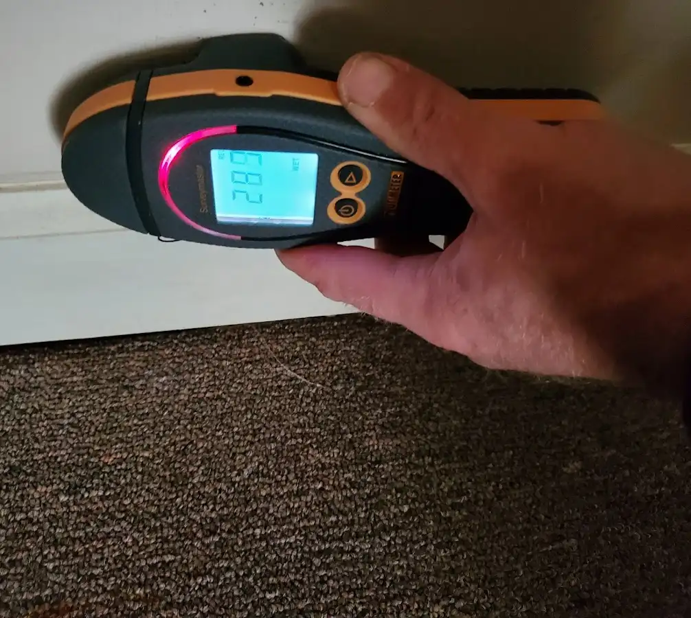 Moisture detection at baseboard during Mold Inspection & Testing in Lomita
